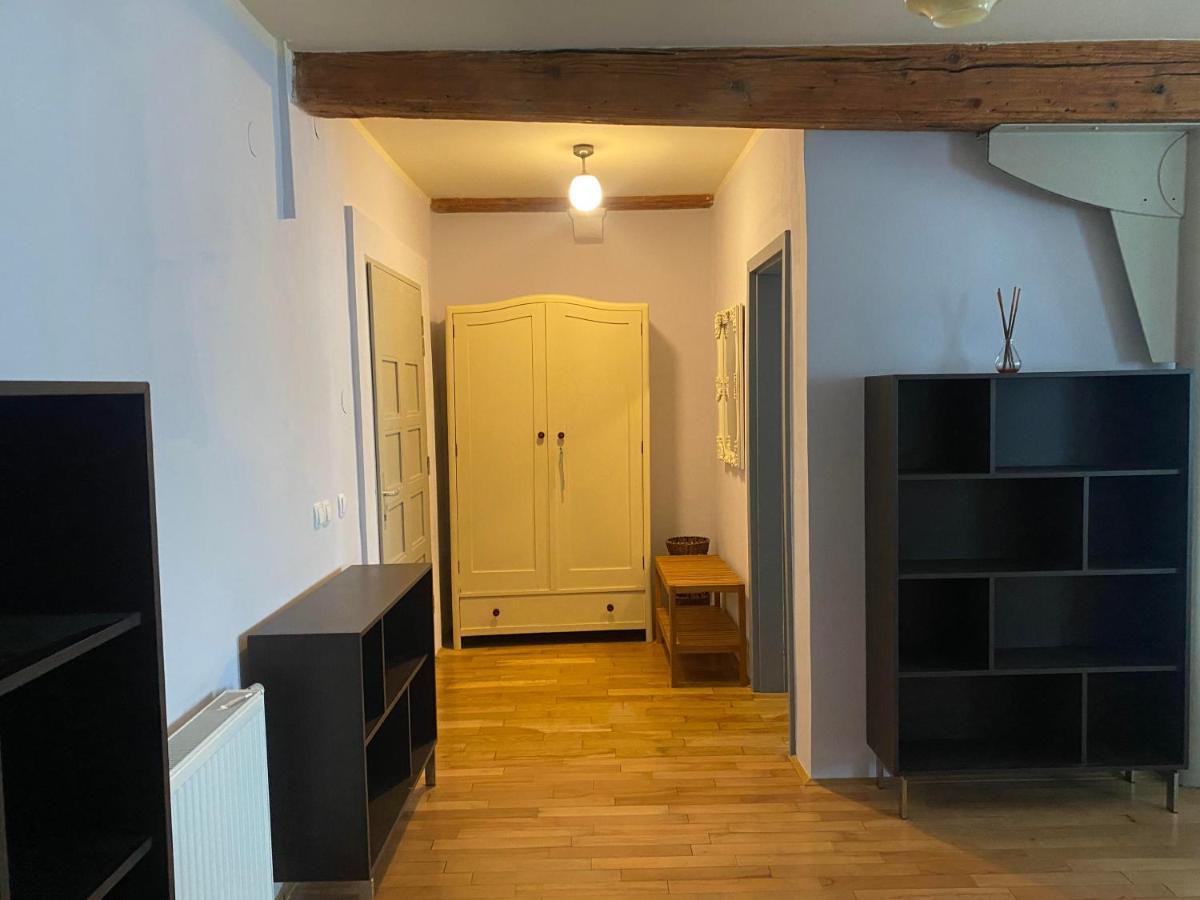 ليوبليانا Vintage Charm Apartment المظهر الخارجي الصورة